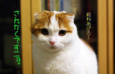 sankaku